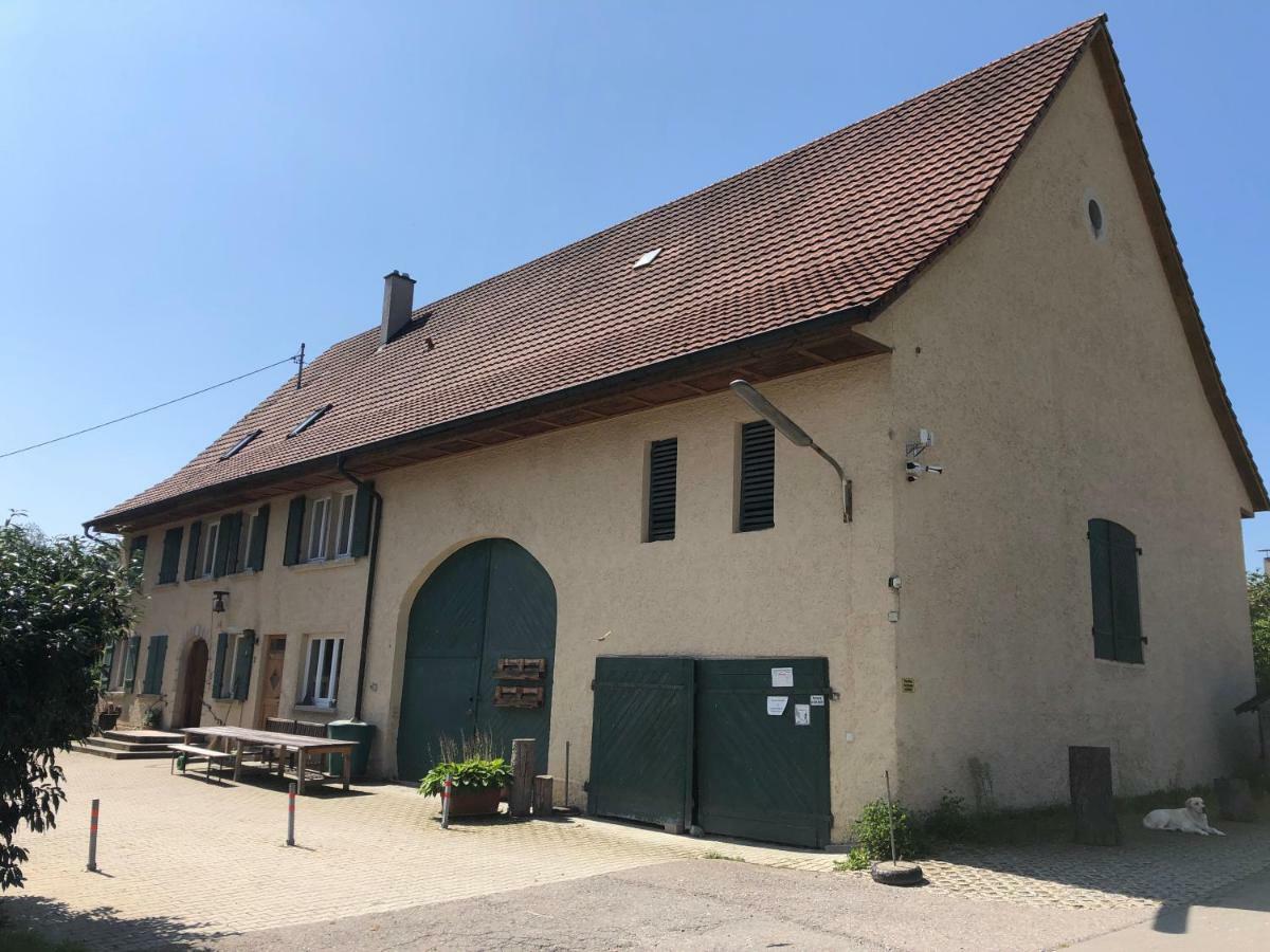 Bio Hofgut Wiggenweiler Lägenhet Bermatingen Exteriör bild